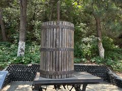 -北京张裕爱斐堡酒庄