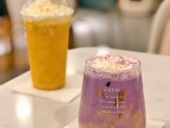 -飞行喵MR PILOT|猫舍·猫咖(静安大融城店)