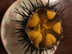 -樱の花亭日本料理店