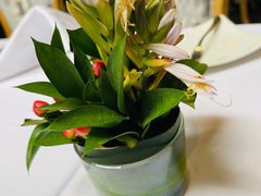 -蝶舍·MAISON PAPILLON