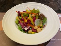 和风蔬菜沙拉-广州瑞士酒店瑞初日本料理·铁板烧