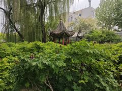 -荣国府