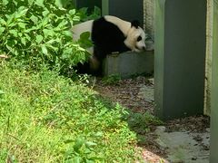 -黔灵山公园