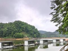 -龙川湾千岛湖国际垂钓中心
