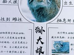 -青藏高原野生动物园