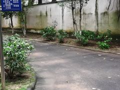 -广州天省实验学校