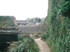 -枸杞岛