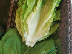 苏子叶-老熟人烤肉城(马家堡店)