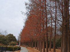 -石湖景区