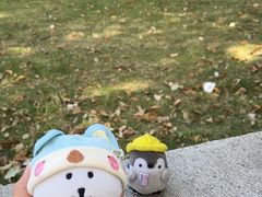 -苏州大学(天赐庄校区)