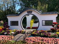 -上海共青森林公园