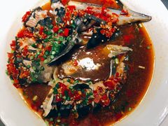 尖椒豆豉蒸鲟鱼-天怡·鱼工厂(梅溪湖店)