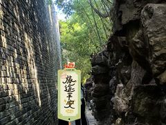 -水绘园