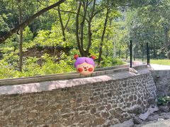 -湖洞水自然风景区