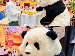 -轩客会(熊猫书店)