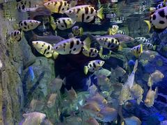 -成都浩海立方海洋公园