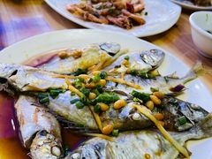 -海之鲜大排档(东山海鲜金銮湾店)