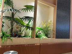 -好彩猪肚鸡(正弘城店)