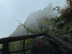 -蝶舞清江·恩施云顶景区(黄鹤峰林)
