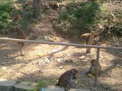 -南京金牛湖风景区