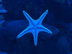 -成都浩海立方海洋公园