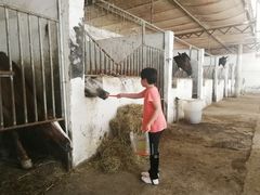 -月河湾马术俱乐部(朝阳店)