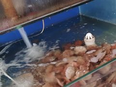 水产区-雅逸居海鲜小厨