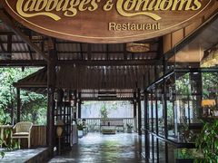 -卷心菜和避孕套餐厅(Pattaya)