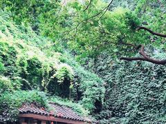 -竹吟山房