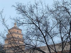 -大雁塔北广场音乐喷泉
