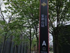 -紫荆山公园