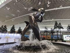 -青岛胶东国际机场