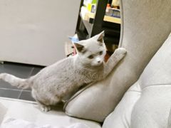 -吱咖啡西式简餐