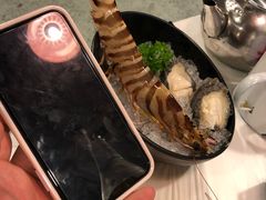 -鲜入围煮花胶鸡海鲜火锅