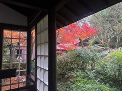 -中国茶叶博物馆(双峰馆区)