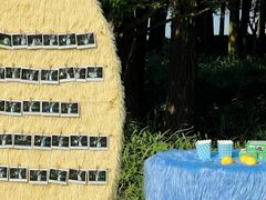 -怪咖·joker陈楠