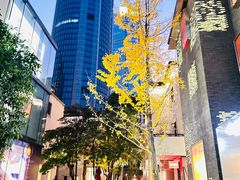 -徐家汇源景区-衡山坊