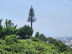 -仙岳公园