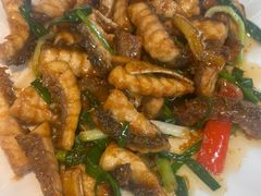 姜葱焗脆鲩-郑猛记石岐鸽主题餐厅(长江店)