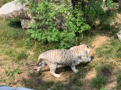 -济南野生动物世界