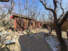 -香木香羊(小汤山店)