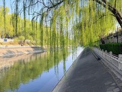-金宫殿故址