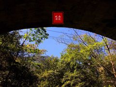 -祁门牯牛降观音堂风景区