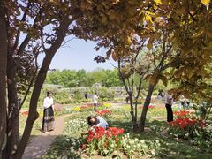 -石家庄市植物园