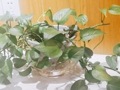 -如轩·海鲜砂锅粥·潮汕菜(南城店)