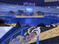 -泉城欧乐堡海洋极地世界