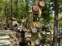 -沂蒙山旅游区云蒙景区(蒙山国家森林公园)