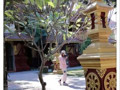 -西双版纳总佛寺