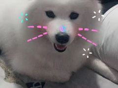 -宠福鑫动物医院·动物疾病诊疗中心(天通苑店)