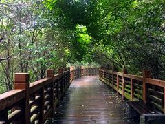 -紫金山天文台